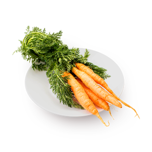 Фото Морковь с ботвой