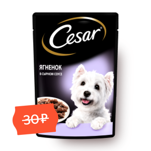 Фото Корм для собак Cesar ягнёнок в соусе
